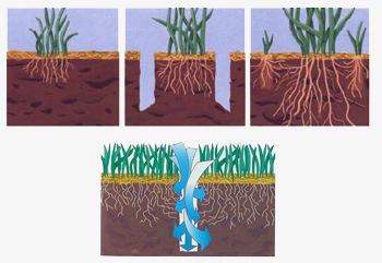 Benefits of Aeration Aearation1